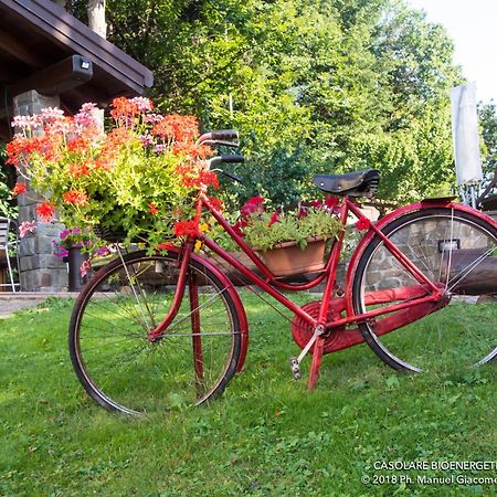 Il Casolare Bioenergetico Bed and Breakfast Albareto  Eksteriør billede