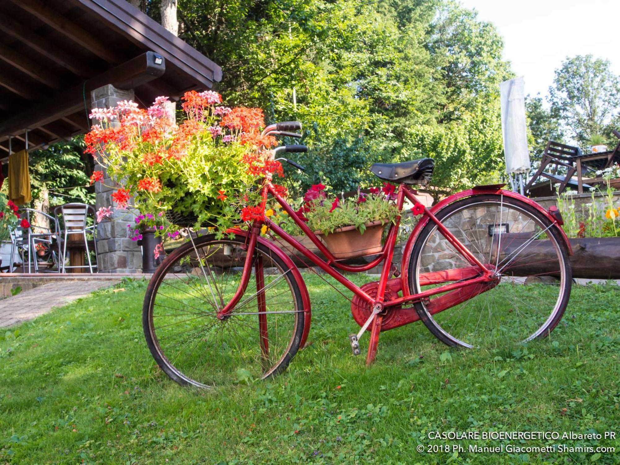 Il Casolare Bioenergetico Bed and Breakfast Albareto  Eksteriør billede